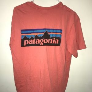 Patagonia Tshirt